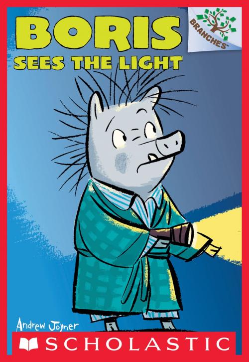 Cover of the book Boris Sees the Light: A Branches Book (Boris #4) by Andrew Joyner, Scholastic Inc.