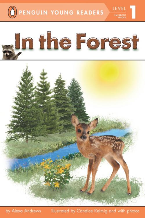 Cover of the book In the Forest by Alexa Andrews, Penguin Young Readers Group