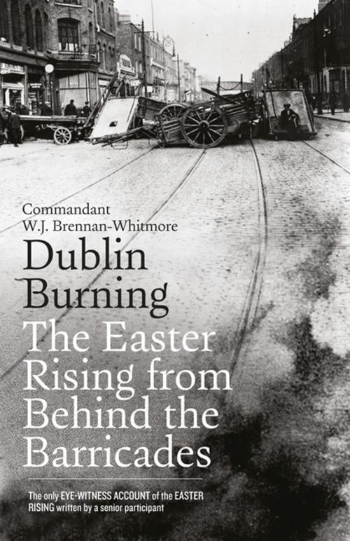 Cover of the book Dublin Burning: The Easter Rising From Behind the Barricades by W.J. Brennan-Whitmore, Gill Books