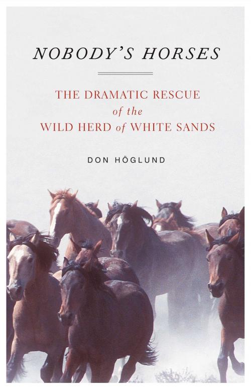 Cover of the book Nobody's Horses by Don Höglund, D.V.M., Atria Books