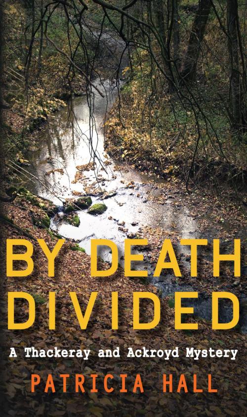 Cover of the book By Death Divided by Patricia Hall, Allison & Busby