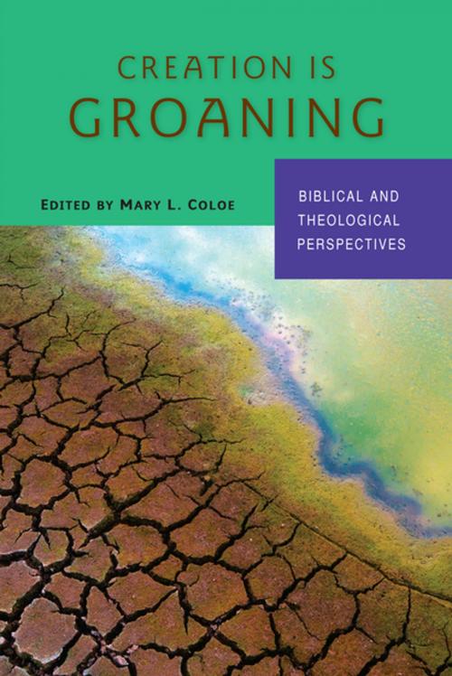 Cover of the book Creation Is Groaning by Mary L. Coloe PBVM, Liturgical Press