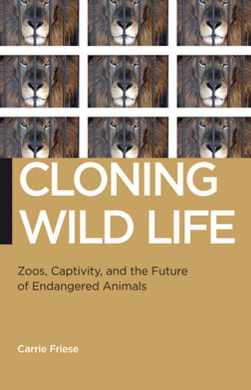 Cover of the book Cloning Wild Life by Carrie Friese, NYU Press