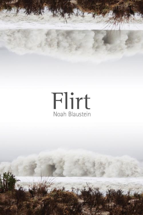 Cover of the book Flirt by Noah Blaustein, University of New Mexico Press