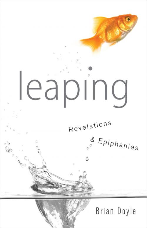 Cover of the book Leaping by Brian Doyle, Loyola Press