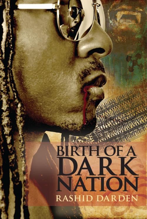 Cover of the book Birth of a Dark Nation by Rashid Darden, Rashid Darden