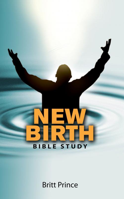 Cover of the book New Birth by Britt Prince, Britt Prince