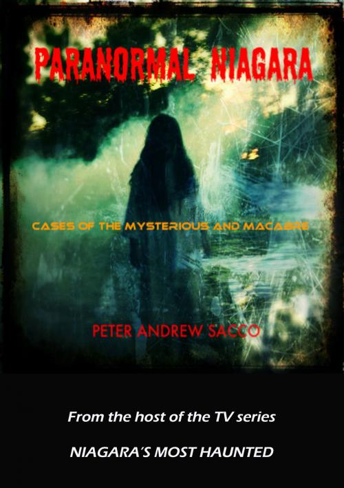 Cover of the book Paranormal Niagara by Peter Sacco, DoctorZed Publishing