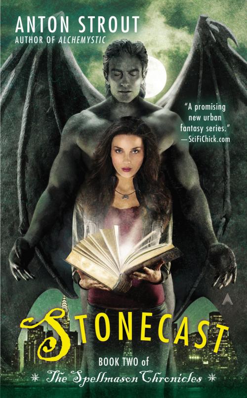 Cover of the book Stonecast by Anton Strout, Penguin Publishing Group