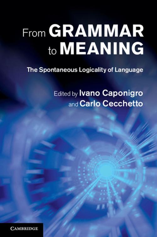 Cover of the book From Grammar to Meaning by , Cambridge University Press