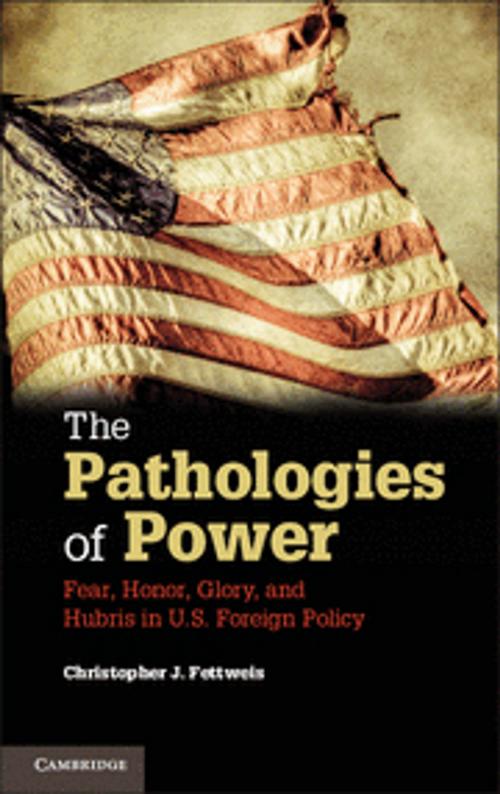Cover of the book The Pathologies of Power by Christopher J. Fettweis, Cambridge University Press