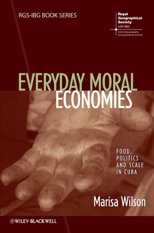 Cover of the book Everyday Moral Economies by Marisa Wilson, Wiley