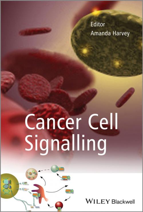 Cover of the book Cancer Cell Signalling by , Wiley