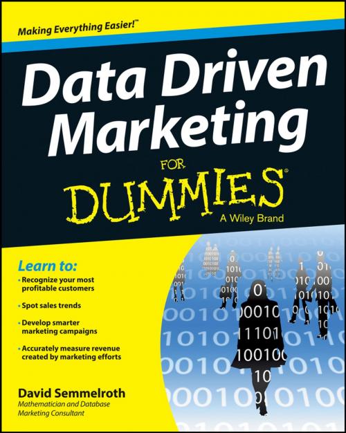 Cover of the book Data Driven Marketing For Dummies by David Semmelroth, Wiley