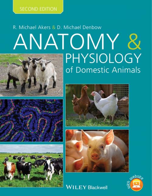 Cover of the book Anatomy and Physiology of Domestic Animals by R. Michael Akers, D. Michael Denbow, Wiley