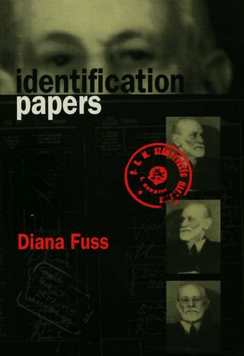 Cover of the book Identification Papers by Diana Fuss, Taylor and Francis