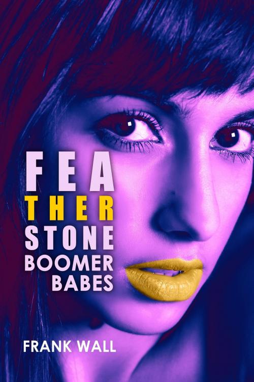 Cover of the book Boomer Babes by Frank Wall, Frank Wall