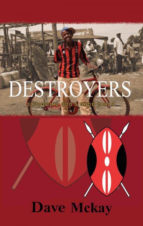 Cover of the book Destroyers by Dave Mckay, Dave Mckay