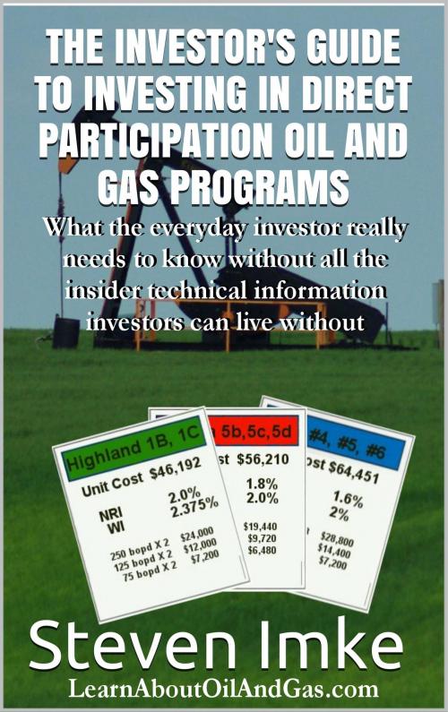 Cover of the book The Investor's Guide to Investing in Direct Participation Oil and Gas Programs by Steven Imke, Steven Imke