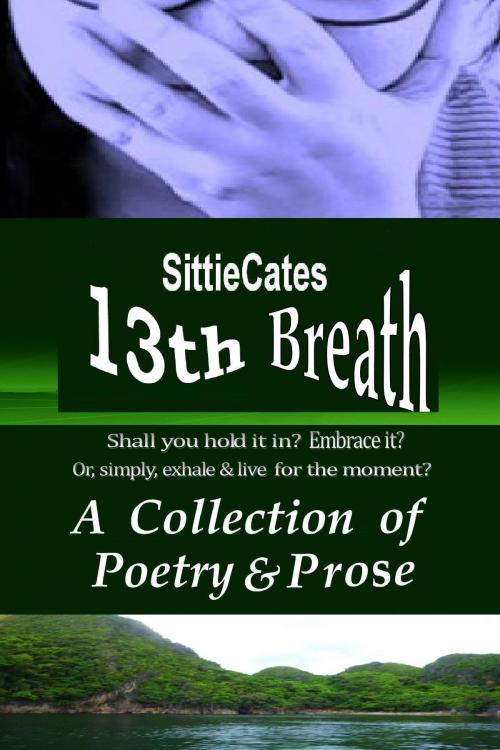 Cover of the book 13th Breath: A Collection of Poetry & Prose by SittieCates, SittieCates