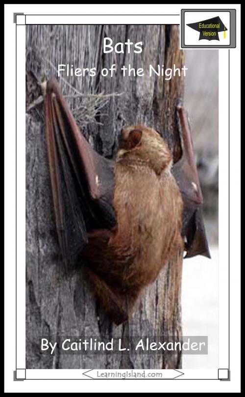 Cover of the book Bats: Fliers of the Night: Educational Version by Caitlind L. Alexander, LearningIsland.com