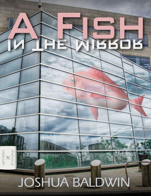 Cover of the book A Fish In The Mirror by Joshua Baldwin, Rhetorical Ratatouille
