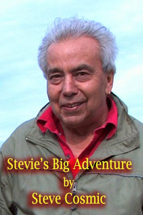 Cover of the book Stevie's Big Adventure by Steve Cosmic, Steve Cosmic