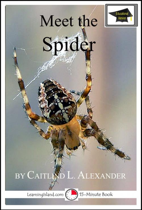 Cover of the book Meet the Spider: Educational Version by Caitlind L. Alexander, LearningIsland.com