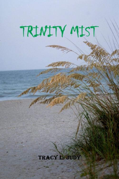 Cover of the book Trinity Mist by Tracy L. Judy, Jonah Wolfe