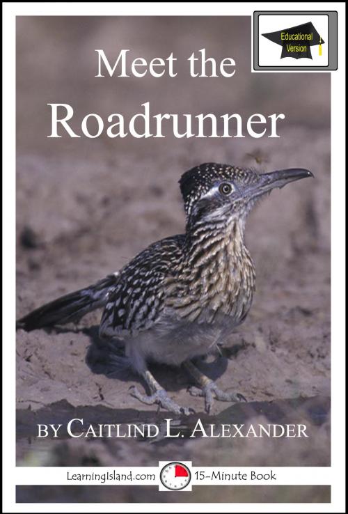 Cover of the book Meet the Roadrunner: Educational Version by Caitlind L. Alexander, LearningIsland.com