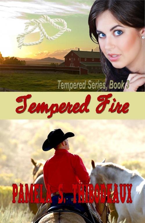 Cover of the book Tempered Fire by Pamela S Thibodeaux, Pamela S Thibodeaux