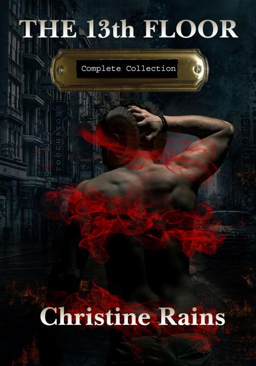Cover of the book The 13th Floor Complete Collection by Christine Rains, Kobo