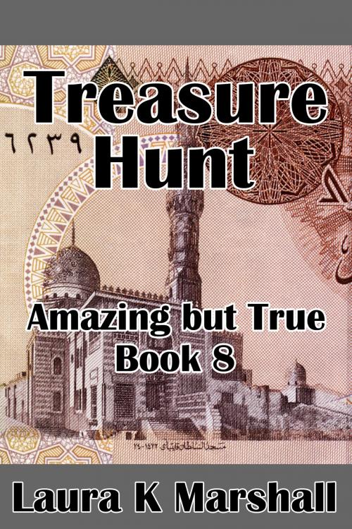 Cover of the book Treasure Hunt Amazing but True Book Eight by Laura K Marshall, Laura K Marshall