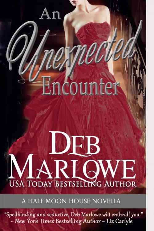 Cover of the book An Unexpected Encounter by Deb Marlowe, Deb Marlowe