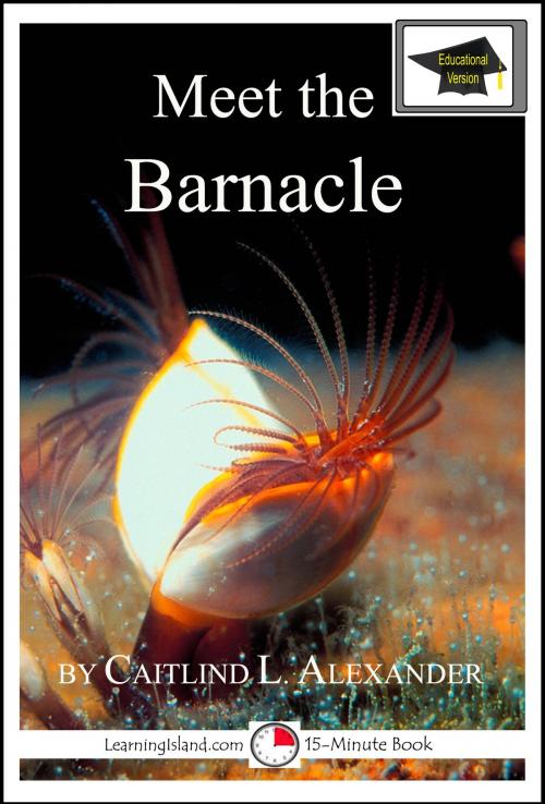 Cover of the book Meet the Barnacle: Educational Version by Caitlind L. Alexander, LearningIsland.com