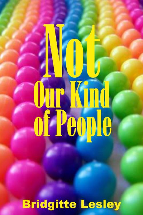 Cover of the book Not Our Kind of People by Bridgitte Lesley, Bridgitte Lesley