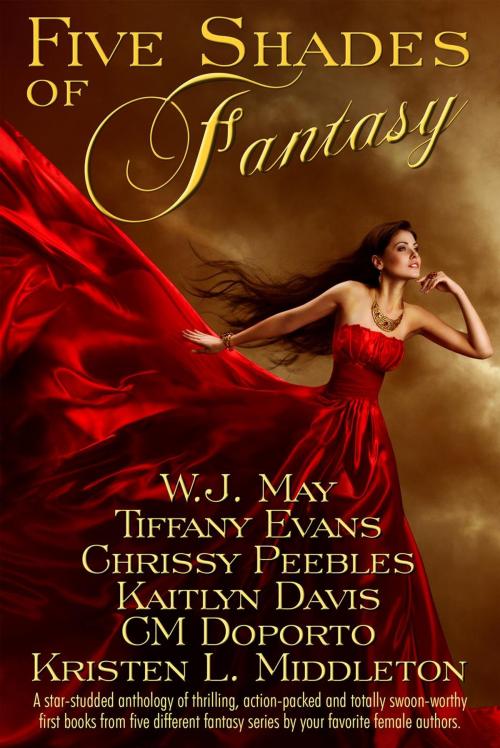 Cover of the book Five Shades of Fantasy by CM Doporto, Mande Matthews, Kristen L. Middleton, Kaitlyn Davis, Chrissy Peebles, W.J. May, Dark Shadow Publishing