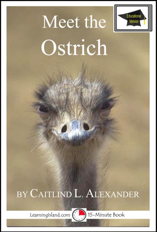 Cover of the book Meet the Ostrich: Educational Version by Caitlind L. Alexander, LearningIsland.com