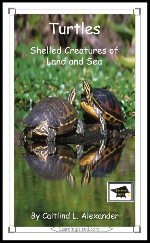 Cover of the book Turtles: Shelled Creatures of Land and Sea: Educational Version by Caitlind L. Alexander, LearningIsland.com