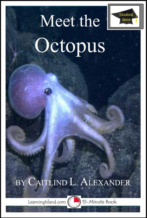 Cover of the book Meet the Octopus: Educational Version by Caitlind L. Alexander, LearningIsland.com