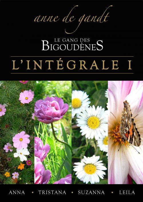 Cover of the book Le Gang des bigoudènes: L'Intégrale I by Anne de Gandt, Anne de Gandt