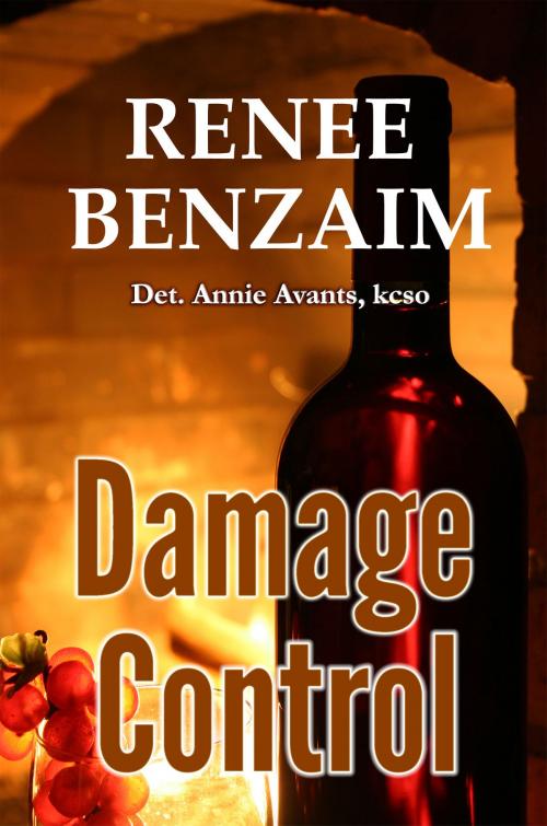 Cover of the book Damage Control by Renee Benzaim, Renee Benzaim