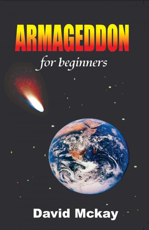 Cover of the book Armageddon For Beginners by Dave Mckay, Dave Mckay
