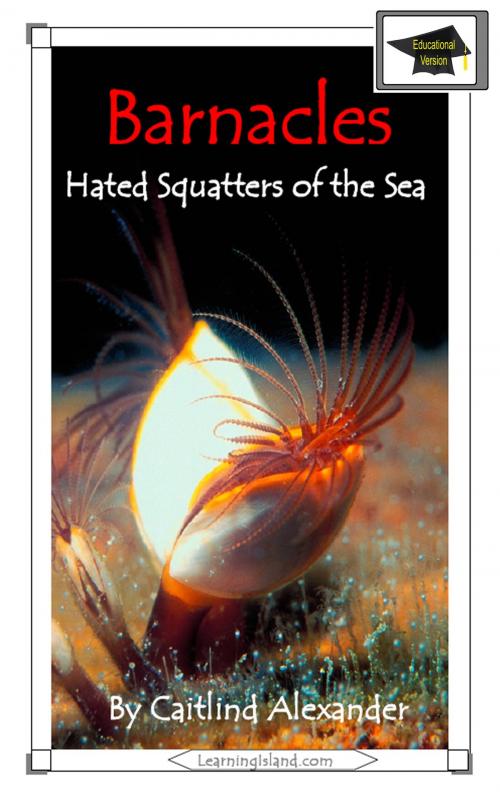 Cover of the book Barnacles: Hated Squatters of the Sea: Educational by Caitlind L. Alexander, LearningIsland.com