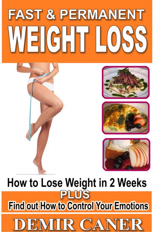 Cover of the book Fast & Permanent Weight Loss by Demir Caner, Demir Caner