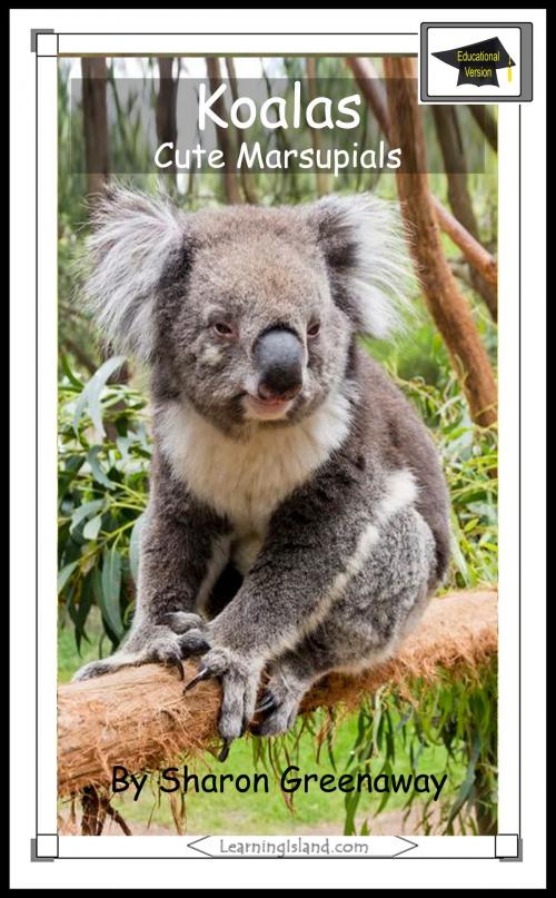 Cover of the book Koalas: Cute Marsupials: Educational Version by Sharon Greenaway, LearningIsland.com