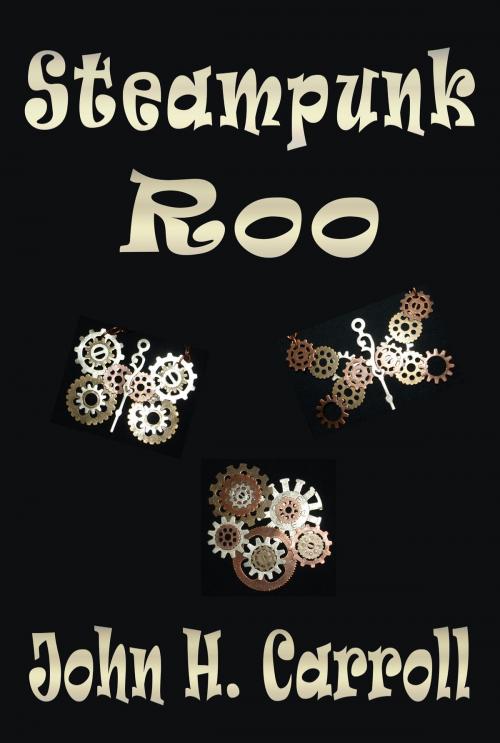 Cover of the book Steampunk Roo by John H. Carroll, John H. Carroll