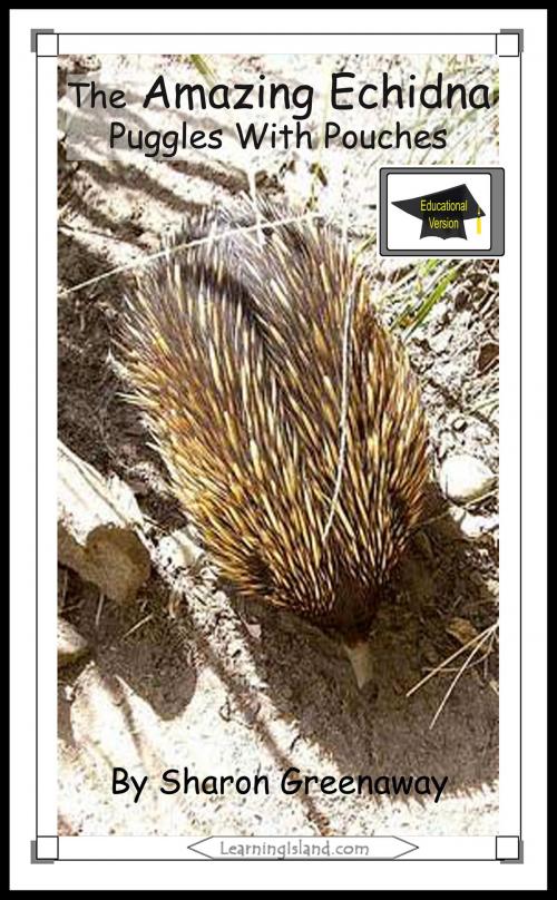 Cover of the book The Amazing Echidna: Puggles in Pouches: Educational Version by Sharon Greenaway, LearningIsland.com