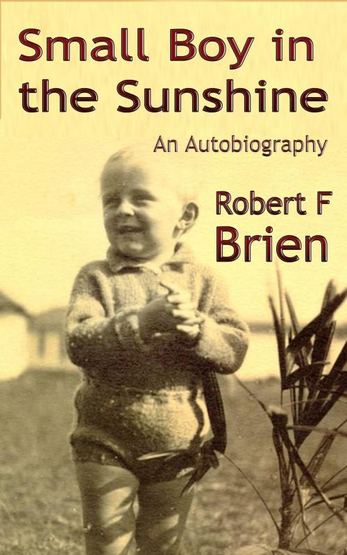 Cover of the book Small Boy in the Sunshine by Robert F Brien, Robert F Brien