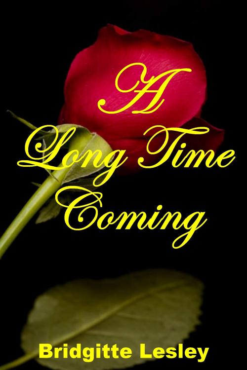 Cover of the book A Long Time Coming by Bridgitte Lesley, Bridgitte Lesley